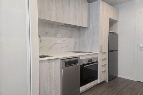 Photo of property in 2b Augustus Terrace, Parnell, Auckland, 1010