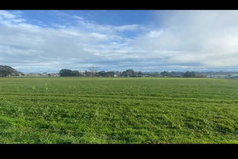 Photo of property in 42 Svenson Road, Waipukurau, 4200