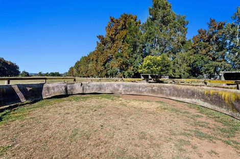 Photo of property in 305 Hallett Road, Otakiri, Whakatane, 3192