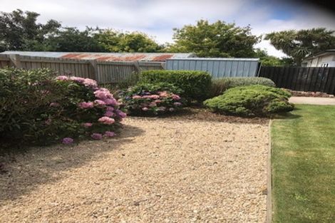 Photo of property in 88 Cranford Street, St Albans, Christchurch, 8014