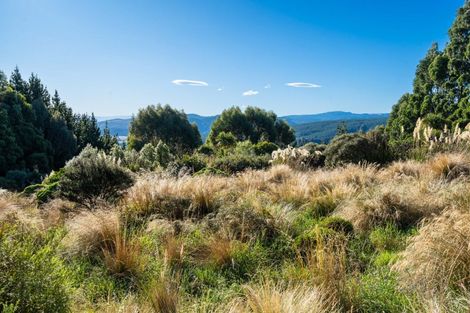 Photo of property in 170 Halfway Bush Road, Mount Grand, Dunedin, 9076