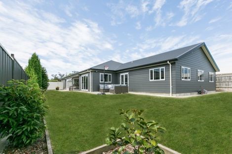 Photo of property in 113 Arataki Road, Havelock North, 4130