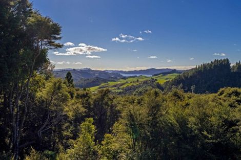 Photo of property in 415a Mill Creek Road, Kaimarama, Whitianga, 3591