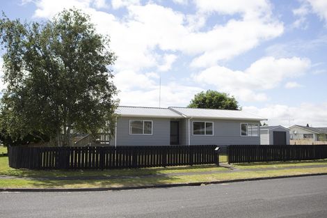 Photo of property in 161 Pollard Drive, Te Awamutu, 3800