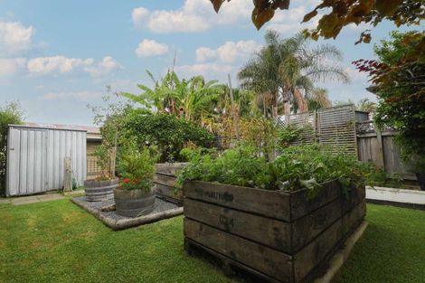 Photo of property in 3c Davies Street, Kensington, Whangarei, 0112