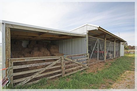 Photo of property in 10 Ripa Street, Tangimoana, 4822