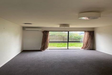 Photo of property in 4/88 Barbour Street, Waltham, Christchurch, 8011