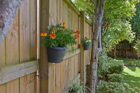 Photo of property in 52 Elliot Street, Howick, Auckland, 2014