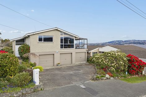 Photo of property in 61 Scobie Road, Waverley, Dunedin, 9013