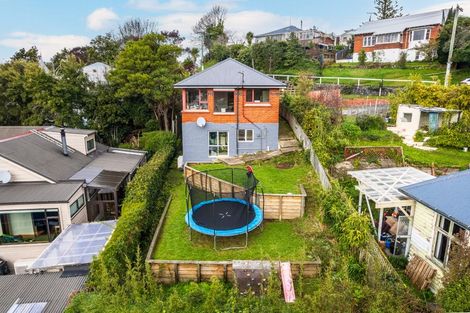 Photo of property in 51 Sidey Street, Calton Hill, Dunedin, 9012
