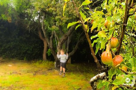 Photo of property in 242 Pine Hill Road, Dalmore, Dunedin, 9010