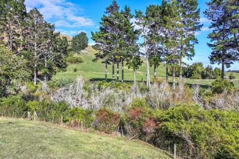 Photo of property in 183b Thorp Road, Paeroa, 3673