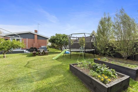 Photo of property in 40 Knighton Road, Hillcrest, Hamilton, 3216