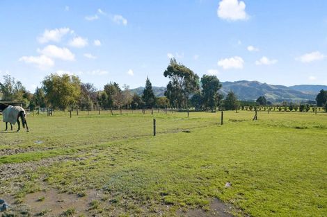 Photo of property in 8 Plachatsh Lane, Oxford, 7430