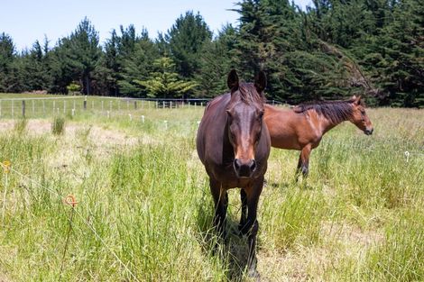 Photo of property in 1204g State Highway 3, Kai Iwi, Wanganui, 4574