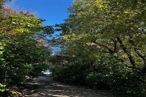 Photo of property in 499 Wainui Road South, Whakamarama, Tauranga, 3180