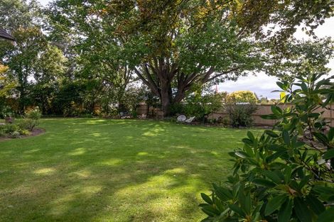 Photo of property in 2 Weld Street, Blenheim, 7201