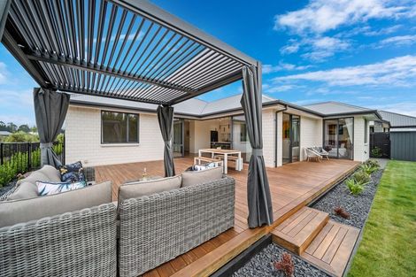 Photo of property in 155 Metehau Street, Marshland, Christchurch, 8083