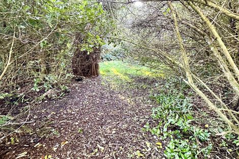 Photo of property in 14 Totara Street, Kaka Point, Balclutha, 9271