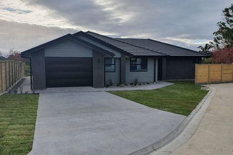 Photo of property in 38 Augusta Rise, Omokoroa, 3114