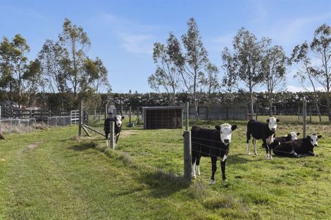 Photo of property in 492 Oxford Road, Fernside, Rangiora, 7471
