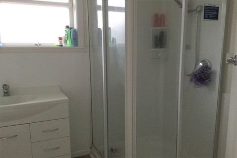 Photo of property in 16 Graham Street, Levin, 5510