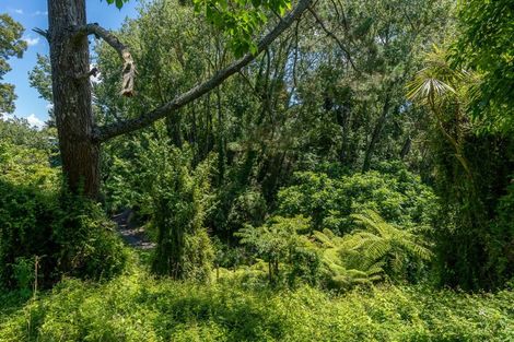 Photo of property in 93 Fitzroy Avenue, Fitzroy, Hamilton, 3206