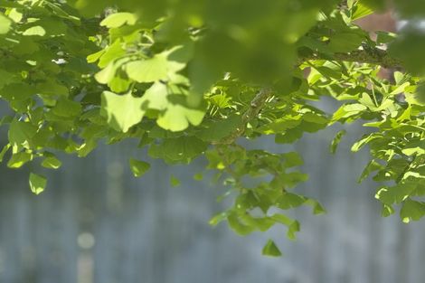 Photo of property in 132 Waerenga Road, Otaki, 5512