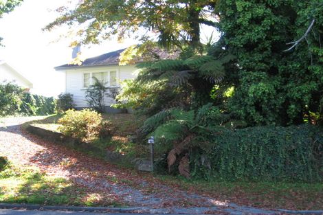 Photo of property in 15 Bent Street, Putaruru, 3411