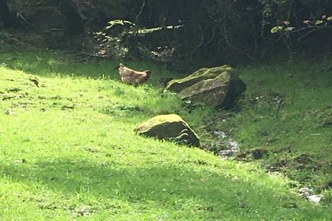 Photo of property in 61 Tawa Street, Te Kuiti, 3910