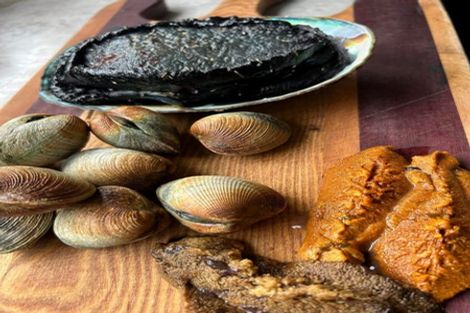 Photo of property in 3/28 Shag Point Road, Shag Point, Palmerston, 9482