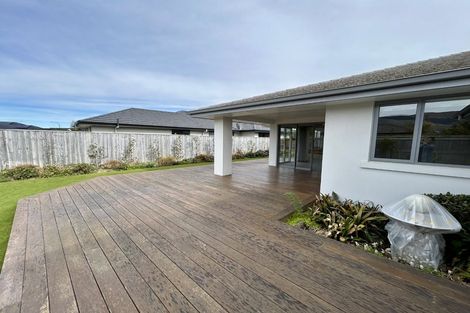 Photo of property in 46 Youngberry Drive, Richmond, 7020