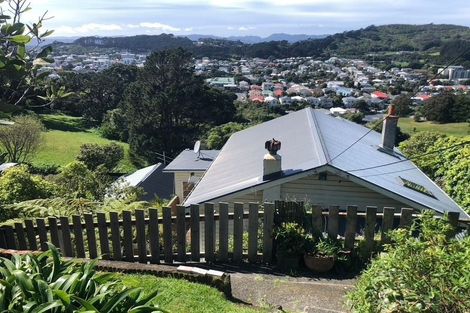 Photo of property in 19 Priscilla Crescent, Mornington, Wellington, 6021