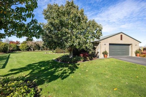 Photo of property in 48b Cowley Drive, Leamington, Cambridge, 3432