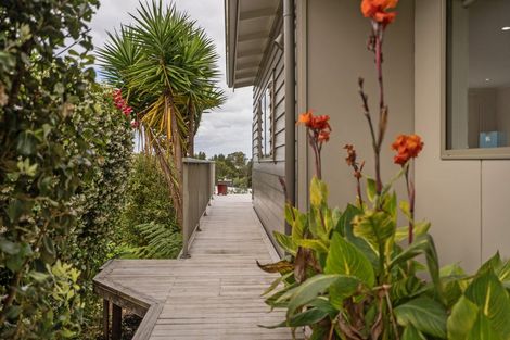 Photo of property in 937 Purangi Road, Cooks Beach, Whitianga, 3591