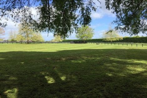 Photo of property in 598 Marychurch Road, Matangi, Hamilton, 3284