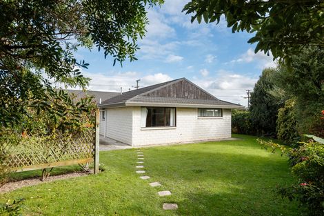 Photo of property in 30 Monrad Street, Highbury, Palmerston North, 4412