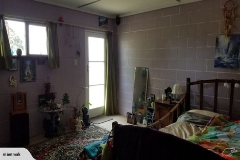 Photo of property in 190 Boiler Gully Road, Manukau Heads, Waiuku, 2684