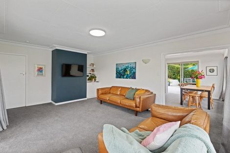 Photo of property in 41 Lundie Street, Kaikorai, Dunedin, 9010