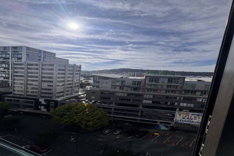 Photo of property in Vsp South, 1001/166 Victoria Street, Te Aro, Wellington, 6011