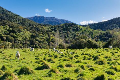 Photo of property in 53 Grange Road, Hapuku, Kaikoura, 7371