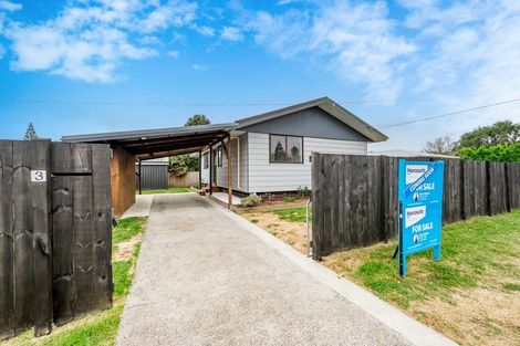 Photo of property in 3 Michael Road, Paraparaumu Beach, Paraparaumu, 5032