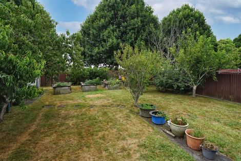 Photo of property in 5 Thorpe Street, Fairview Downs, Hamilton, 3214