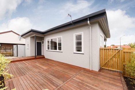 Photo of property in 99 Fitzroy Street, Terrace End, Palmerston North, 4410