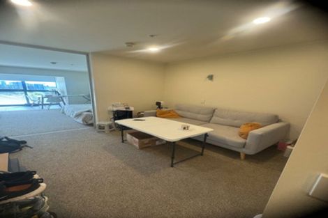 Photo of property in Luna Apartments, 3v/16 Burton Street, Grafton, Auckland, 1010