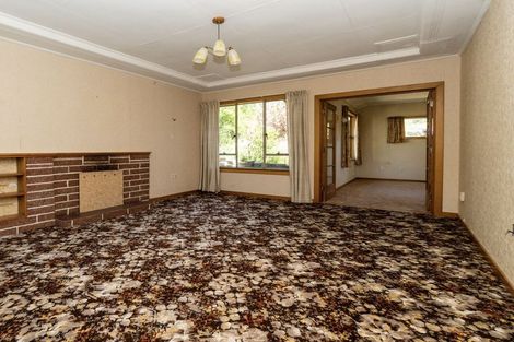 Photo of property in 61 Manuherikia Road, Alexandra, 9320