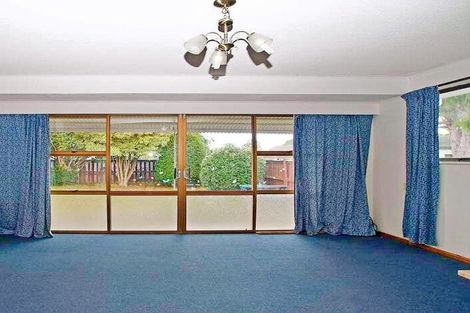 Photo of property in 132 Masters Avenue, Silverdale, Hamilton, 3216