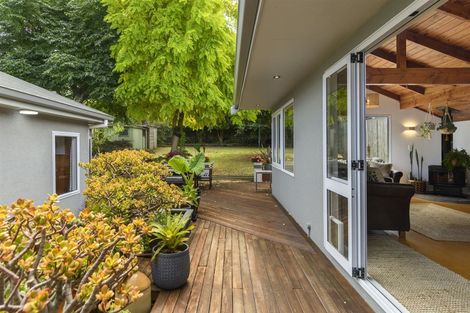 Photo of property in 15 Valley Road, Mount Maunganui, 3116