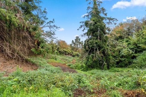 Photo of property in 264 Bellevue Road, Bellevue, Tauranga, 3110