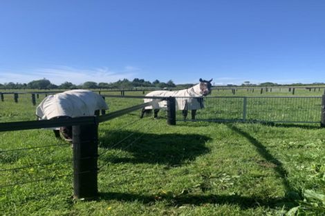 Photo of property in 157 Norfolk Road, Norfolk, Inglewood, 4388